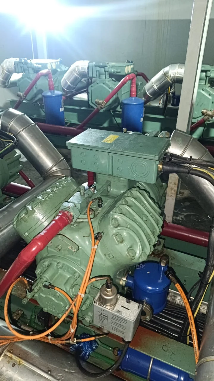 Compressor motor testing after overhaul